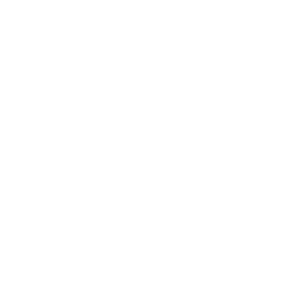 mega jacht